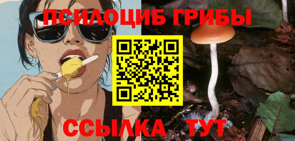 Галлюциногенные грибы MAGIC MUSHROOMS Курчатов