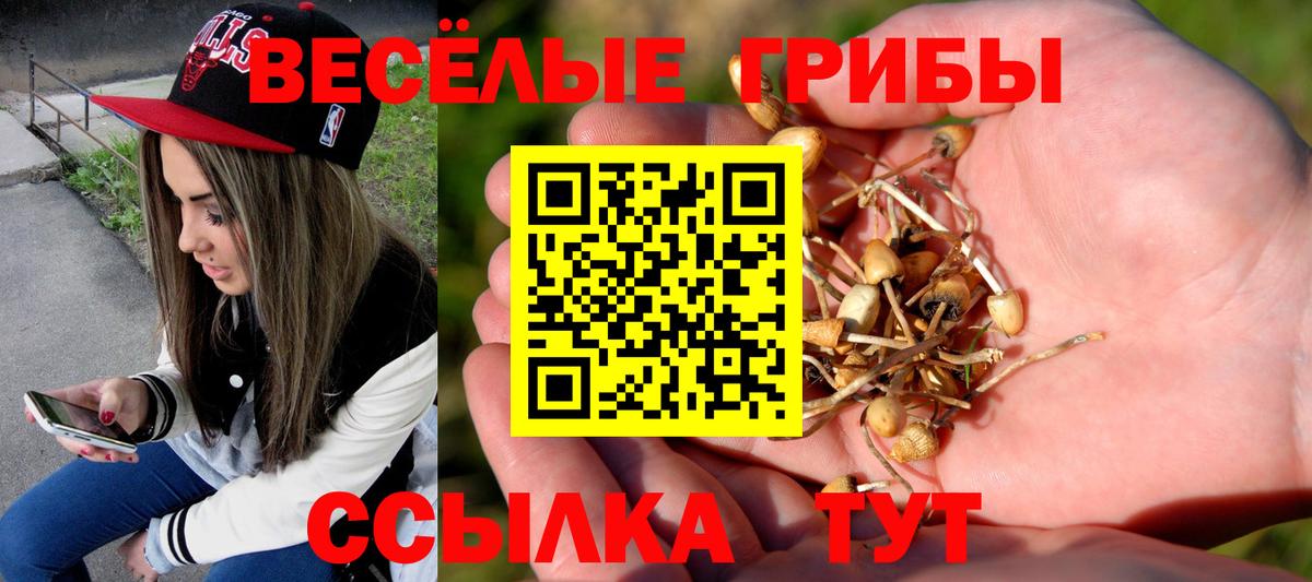 Галлюциногенные грибы Cubensis  Вход с VPN  Курчатов 