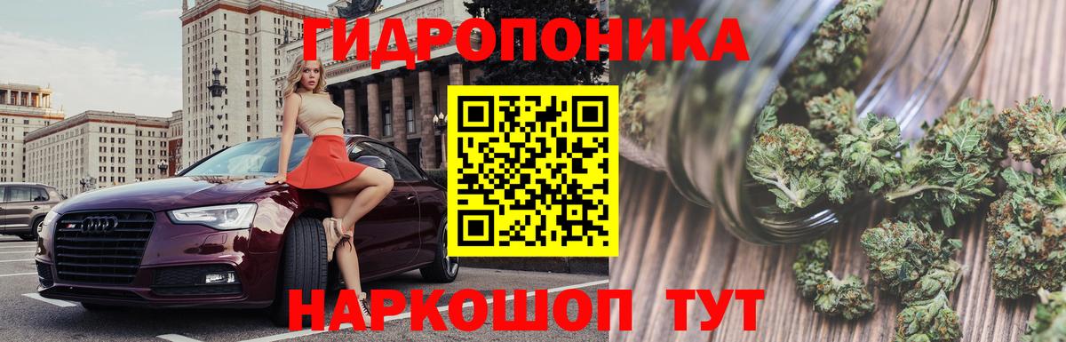 Шишки марихуана сатива  Шишки марихуана Ganja  МАРИХУАНА SATIVA & INDICA  Курчатов  Вход с VPN 