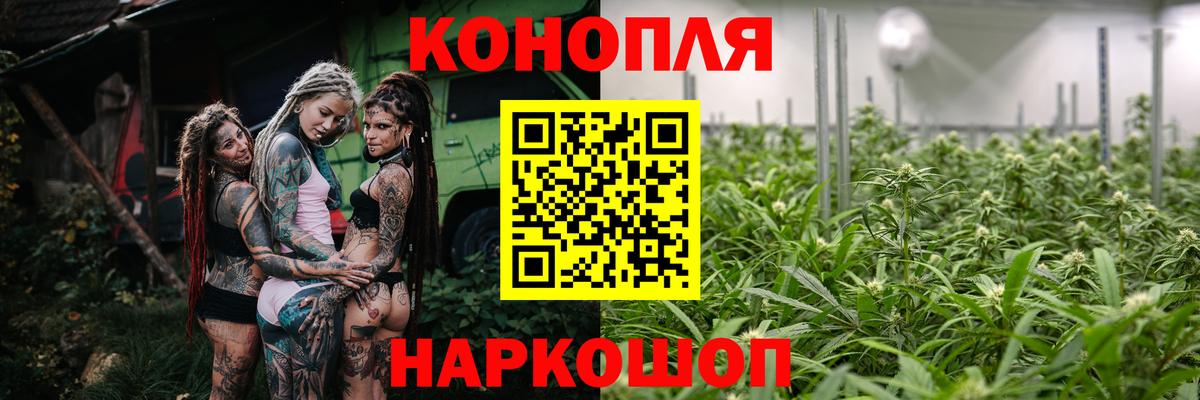 Канабис план Курчатов